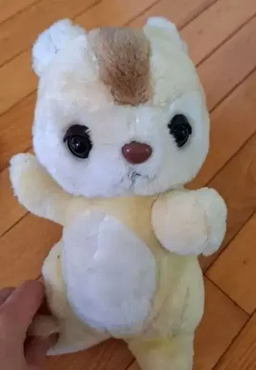 다람쥐 봉제 인형