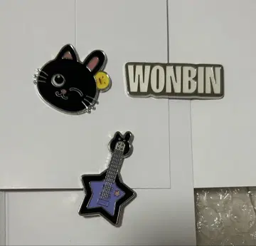 RIIZE 원빈 토냥독 랜덤 커스텀 참 세트