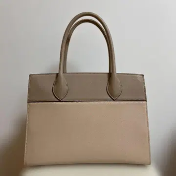 다이애나 백