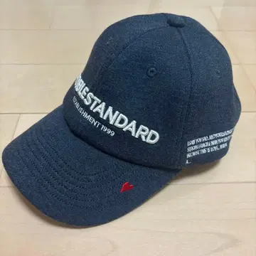더블 스탠다드 캡