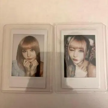 센리츠 카나노 폴라로이드 란체키