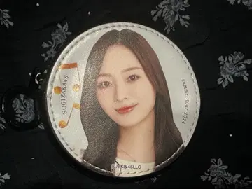 우메자와 미나미 서클 파우치 A상
