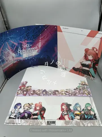 미사용  RAGE VALORANT 응원 보드 세트