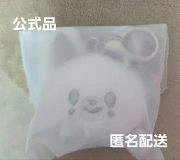 face keyring 폭시니
