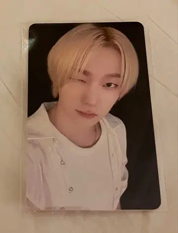 성호 musickorea 럭키 드로우 트레이딩 카드