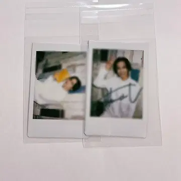 하시모토 신이치 폴라로이드 2