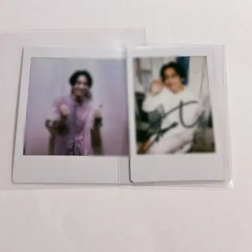 하시모토 신이치 폴라로이드 12