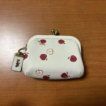 사과 코인 케이스