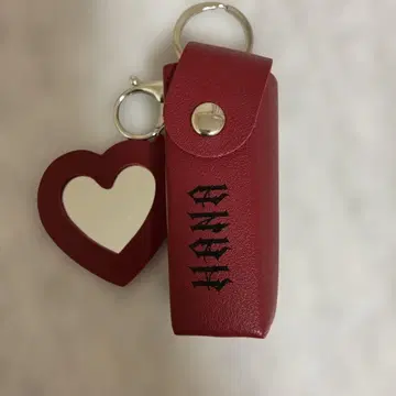 HANA 립 케이스