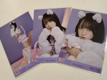 노구치 이오리 브로마이드 컴프