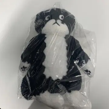 애프터눈 티 최영주 모짱 봉제 인형 고양이