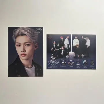 StrayKids 필릭스 플라이어