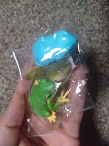 개구리 올챙이 피규어 세트