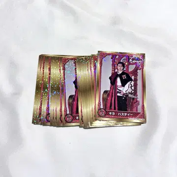 기라 하스티 왕전대 킹오거 사카이 타이세이