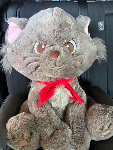 베를리오즈 봉제 인형 코스트코 담요 포함