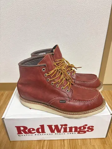 레드윙 아이리쉬 세터 8D 고어텍스