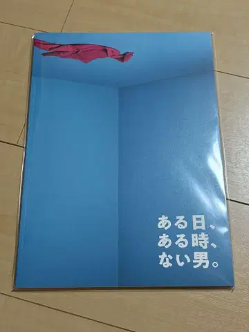 어느 날, 어느 때, 없는 남자. 팜플렛