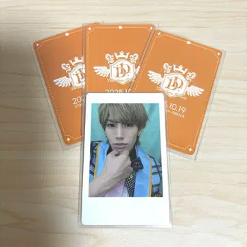 나나 크로니클 코무기 DDP 하피카