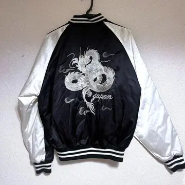 스카잔 백룡 류 호시히메 카고노 메아