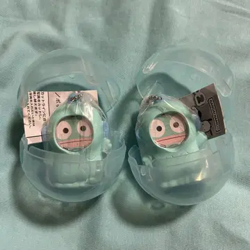 한교동 사진 프레임 마스코트 2