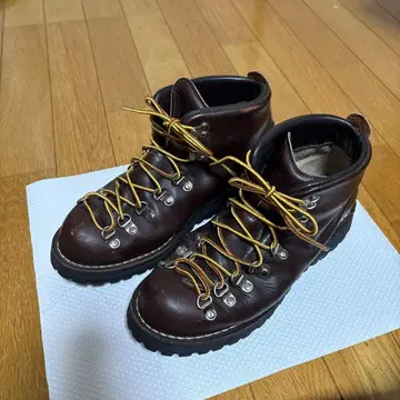 Danner 마운틴 라이트 브라운