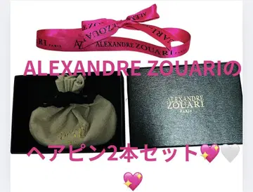 ALEXANDRE ZOUARI 헤어핀 2개 세트