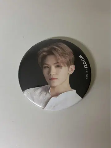 우지 seventeen 캔뱃지