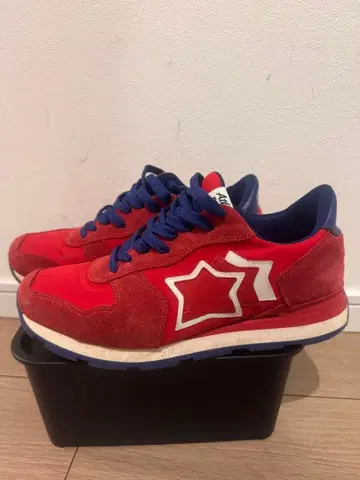 Atlantic Stars 스니커즈 레드/블루