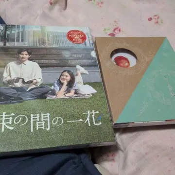 잠깐의 한 송이 DVD 2장 세트
