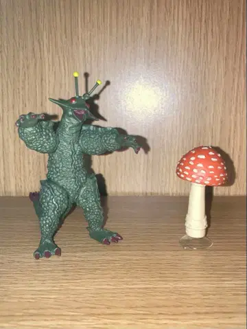 HG 기라라 버섯