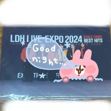 EXPO 로토 A상 LILLEAGUE
