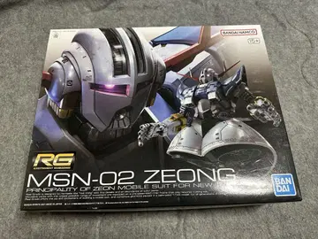 RG 지옹