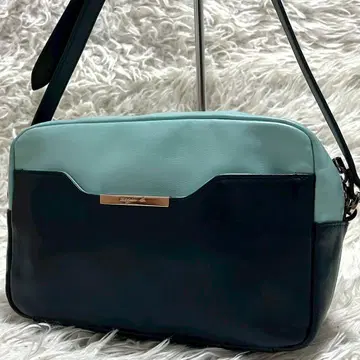 에네스베 메탈 플레이트 로고 카메라백 바이컬러 블루 x 네이비