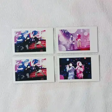 이레우스 실사 폴라로이드회풍 트레이딩 카드 페어