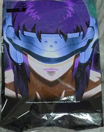 GEEKS RULE Infinite Archives 공각기동대 XL