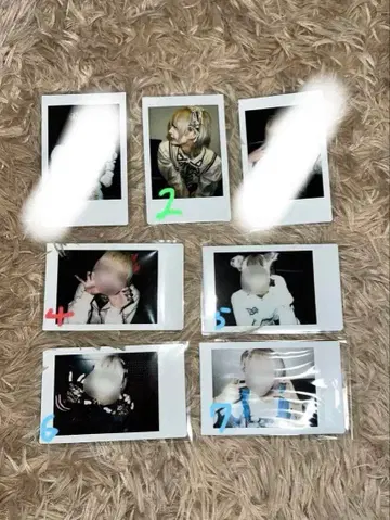 러브라이브 하야테 솔로 폴라로이드