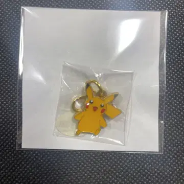포켓몬 메탈 참 이로치 피카츄