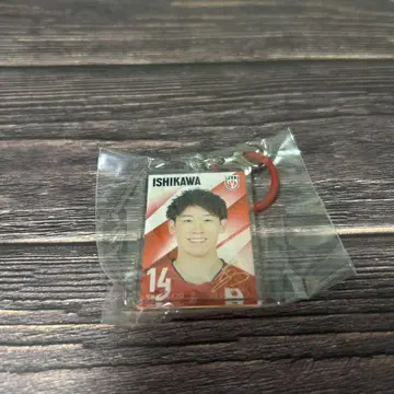 배구 남자 이시카와 유키 메지루시 참