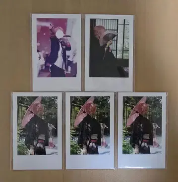 이레이스 실사 폴라로이드 나이코