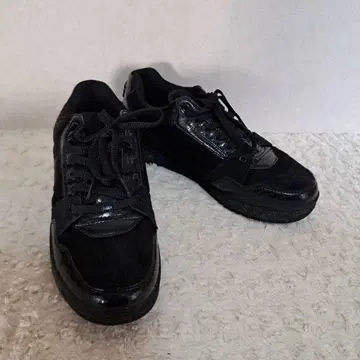 SERGIO TACCHINI 세르지오 타키니 25~25.5cm