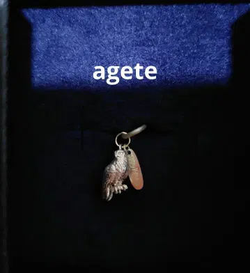 agete x Harry Potter 미니 참 헤드윅