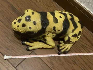 개구리 소프트 비닐 키오비야도쿠 개구리 파충류 개구리 frog