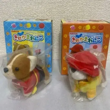 카바야 옷 갈아입히기 강아지