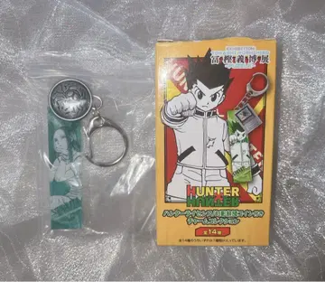 H x H 헌터 라이선스 / 환영여단 코인 포함 참 컬렉션 이르미