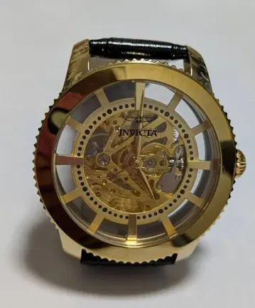 INVICTA 인빅타 스켈레톤