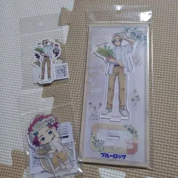 블루 록 flowercrown 사에