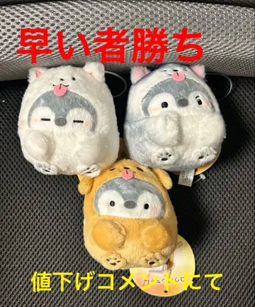 코우펜짱 복슬복슬 강아지 마스코트 3종 세트