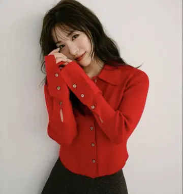 Aimeine 에메인 카라 부착 리브 니트 가디건
