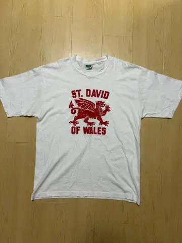 ST. DAVID OF WALES 티셔츠 L 사이즈