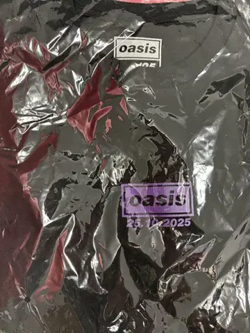 도쿄돔 Oasis 회장 한정 10/25 L 사이즈 T셔츠